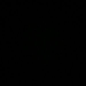 Meet your Posher, Joel